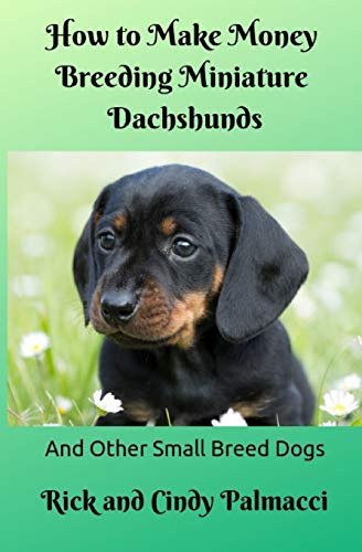 Stock image for How to Make Money Breeding Miniature Dachshunds: and Other Small Breed Dogs for sale by Save With Sam
