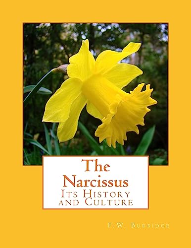 Stock image for The Narcissus: Its History and Culture for sale by THE SAINT BOOKSTORE