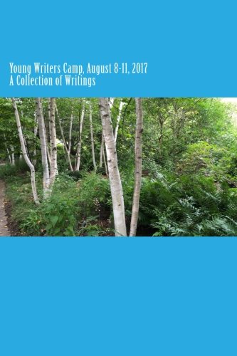 Stock image for Young Writers Camp, August 8-11, 2017: A Collection of Writings for sale by Revaluation Books