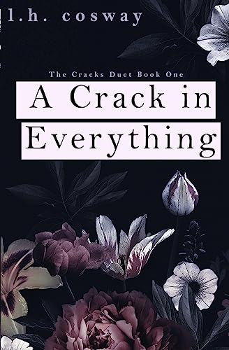 9781983678028: A Crack in Everything