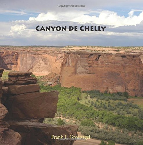 Stock image for Canyon de Chelly for sale by Revaluation Books