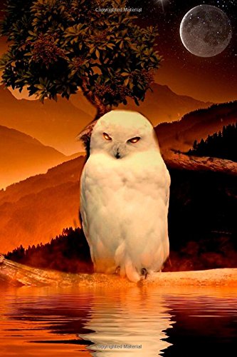 Beispielbild fr Fantasy Notebook 9: Snowy Owl: (Journal, Diary), Softcover 6" x 9" (Volume 9) [Soft Cover ] zum Verkauf von booksXpress