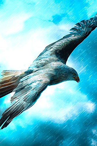 Beispielbild fr Fantasy Notebook 10: Eagle in the Storm: (Journal, Diary), Softcover 6" x 9" (Volume 10) [Soft Cover ] zum Verkauf von booksXpress