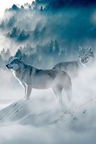 Beispielbild fr Fantasy Notebook 12: Wolves in the Fog: (Journal, Diary), Softcover 6" x 9" (Volume 12) [Soft Cover ] zum Verkauf von booksXpress