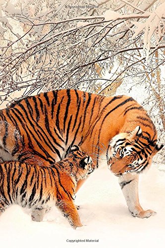 Beispielbild fr Fantasy Notebook 14: Tiger in the Snow: (Journal, Diary), Softcover 6" x 9" (Volume 14) [Soft Cover ] zum Verkauf von booksXpress
