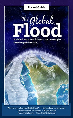 9781984403063: The Global Flood Pocket Guide 2021