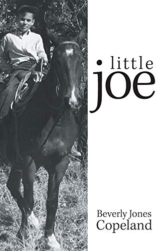 Stock image for Little Joe for sale by Chiron Media