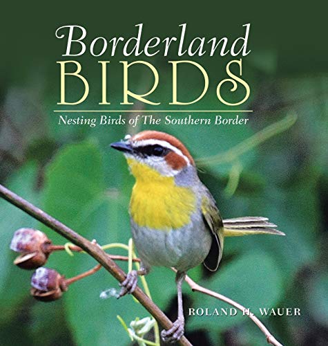 Stock image for Borderland Birds: Nesting Birds of the Southern Border for sale by WorldofBooks