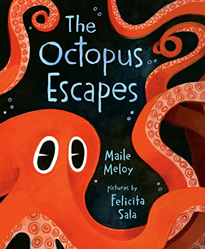 Beispielbild fr The Octopus Escapes zum Verkauf von Goodwill Books