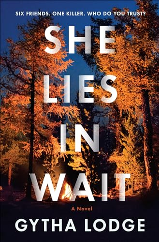 Stock image for She Lies in Wait: A Novel for sale by BooksRun