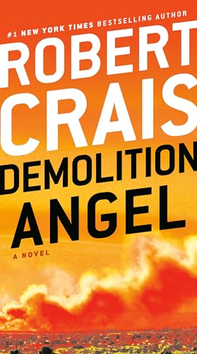 9781984818744: Demolition Angel: A Novel
