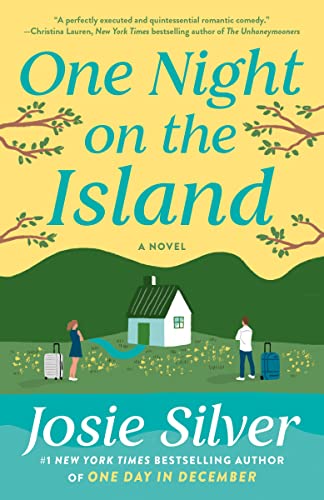 Beispielbild fr One Night on the Island : A Novel zum Verkauf von Better World Books