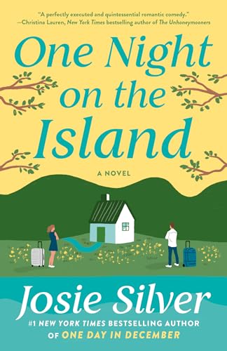 Stock image for One Night on the Island: A Novel for sale by More Than Words