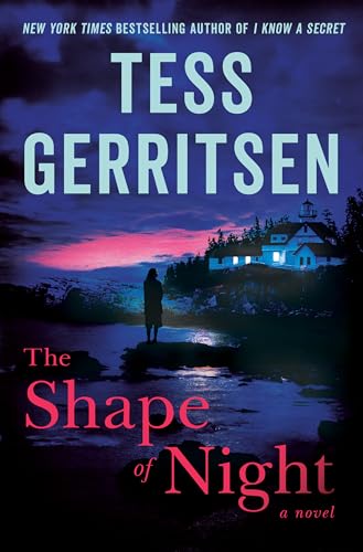 Beispielbild fr The Shape of Night: A Novel zum Verkauf von Books-FYI, Inc.