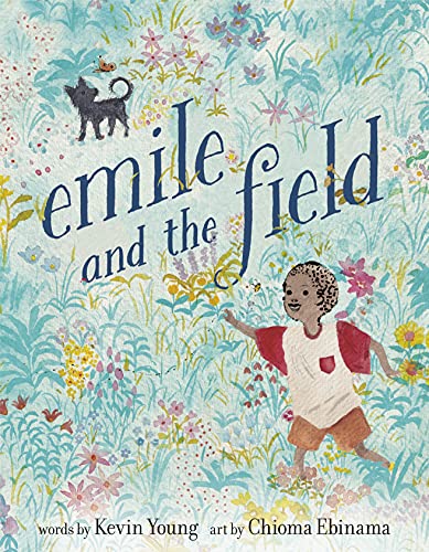 Beispielbild fr Emile and the Field zum Verkauf von WorldofBooks