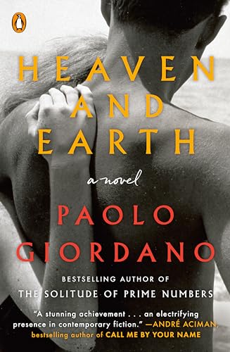 Imagen de archivo de Heaven and Earth: A Novel a la venta por Half Price Books Inc.