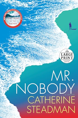 Beispielbild fr Mr. Nobody: A Novel (Random House Large Print) zum Verkauf von Jenson Books Inc