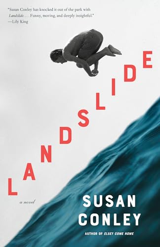 Stock image for Landslide: A novel for sale by Blue Vase Books