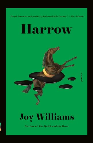 Beispielbild fr Harrow: A novel (Kirkus Prize) (Vintage Contemporaries) zum Verkauf von BooksRun