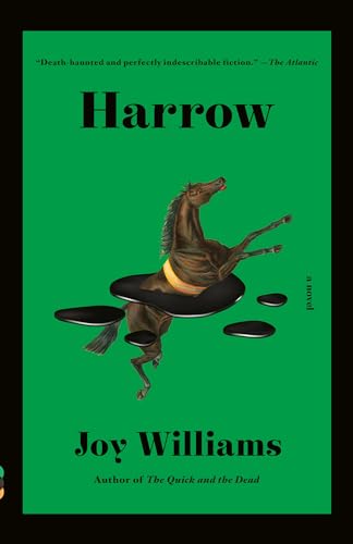 Imagen de archivo de Harrow: A novel (Vintage Contemporaries) a la venta por HPB-Ruby