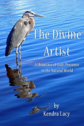 Stock image for The Divine Artist: A Showcase of God  s Presence in the Natural World for sale by HPB-Diamond