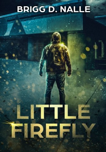 Imagen de archivo de Little Firefly a la venta por Adventures Underground