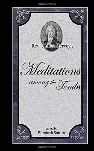 Imagen de archivo de Meditations Among the Tombs a la venta por Revaluation Books