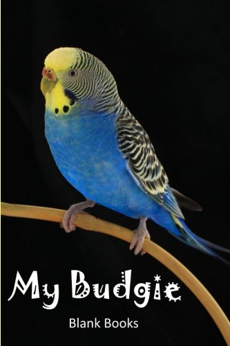 Stock image for My Budgie (USA Kiwi Journals) for sale by ThriftBooks-Atlanta