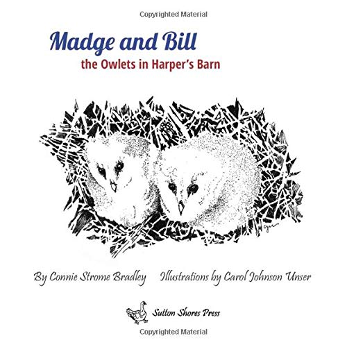 Stock image for Madge and Bill, the Owlets in Harper's Barn for sale by Revaluation Books