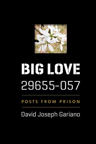 Imagen de archivo de Big Love, 29655-057: Posts from Prison a la venta por Patrico Books
