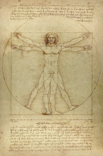Beispielbild fr Leonardo da Vinci Notebooks - The Vitruvian Man: 120 College ruled lined pages - Leonardo da Vincis Notebook, Journal, Sketchbook, Diary, Manuscript (The Vitruvian Man) zum Verkauf von WorldofBooks