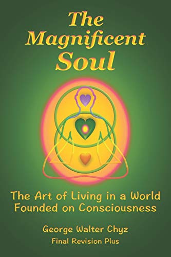 Beispielbild fr The Magnificent Soul: The Art of Living in a World Founded on Consciousness zum Verkauf von BooksRun