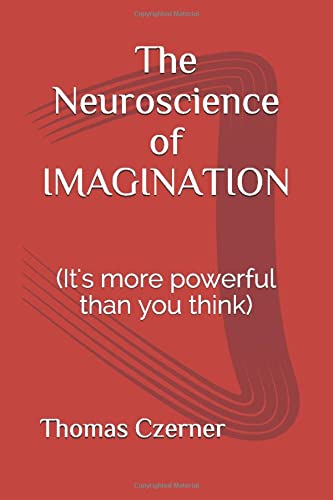 Imagen de archivo de The Neuroscience of IMAGINATION: (It's more powerful than you think) a la venta por Revaluation Books