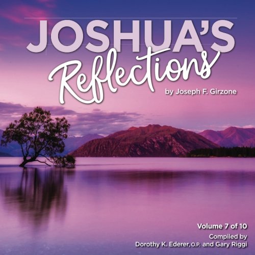 Beispielbild fr Joshua's Reflections: Volume 7 zum Verkauf von ThriftBooks-Atlanta