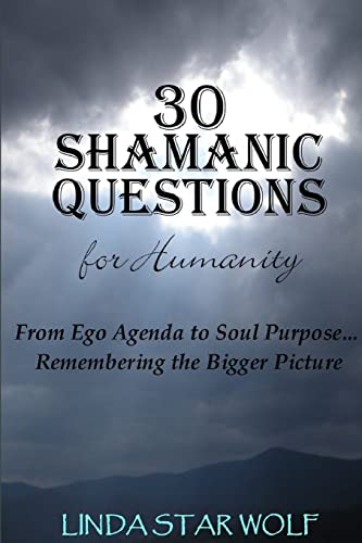 Imagen de archivo de The 30 Shamanic Questions for Humanity: From Ego Agenda to Soul Purpose.Remembering the Bigger Picture a la venta por medimops