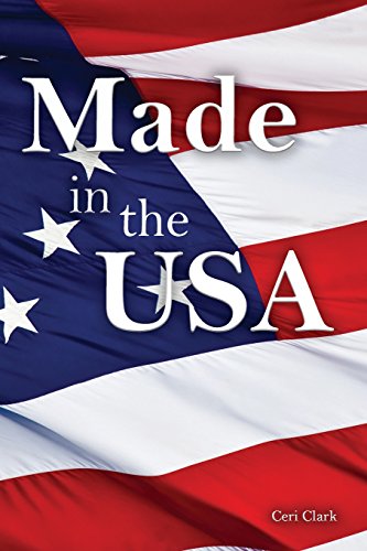 Beispielbild fr Made in the USA: A Discreet Internet Password Book for People Who Love the USA (Disguised Password Books) zum Verkauf von Ergodebooks