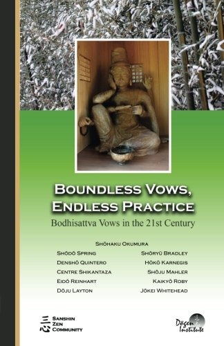 Imagen de archivo de Boundless Vows, Endless Practice: Bodhisattva Vows in the 21st Century a la venta por HPB-Diamond