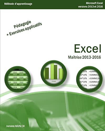 Stock image for Excel Maitrise 2013 - 2016 for sale by THE SAINT BOOKSTORE