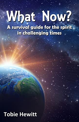 Beispielbild fr What Now?: A survival guide for the spirit in challenging times zum Verkauf von Lucky's Textbooks