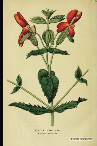Stock image for Botanical Print Journal: mimulus cardinalis - 6" x 9" Vintage Botanical Print Journal, Ruled Lined For Writing & Notes [Soft Cover ] for sale by booksXpress