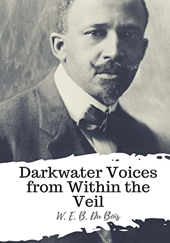 Imagen de archivo de Darkwater Voices from Within the Veil [Soft Cover ] a la venta por booksXpress