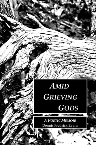 Stock image for Amid Grieving Gods for sale by Lucky's Textbooks