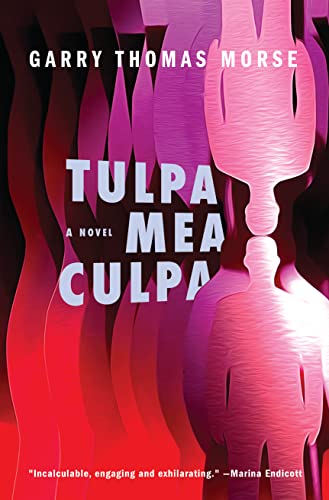 Stock image for Tulpa Mea Culpa for sale by PBShop.store US