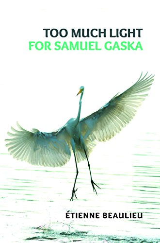 9781988254340: Too Much Light for Samuel Gaska