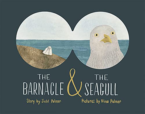 Beispielbild fr The Seagull and the Barnacle zum Verkauf von WorldofBooks