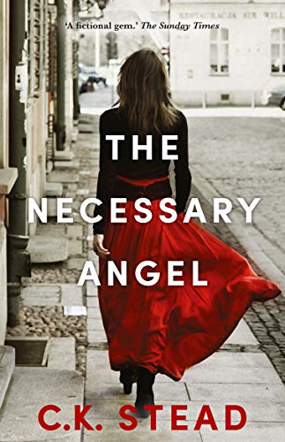 Beispielbild fr The Necessary Angel zum Verkauf von Redux Books