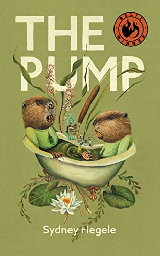 Stock image for The Pump for sale by Lakeside Books