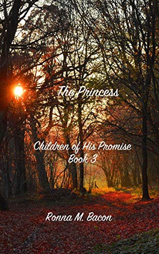 Stock image for The Princess: 3 (Children of His Promise) for sale by WorldofBooks
