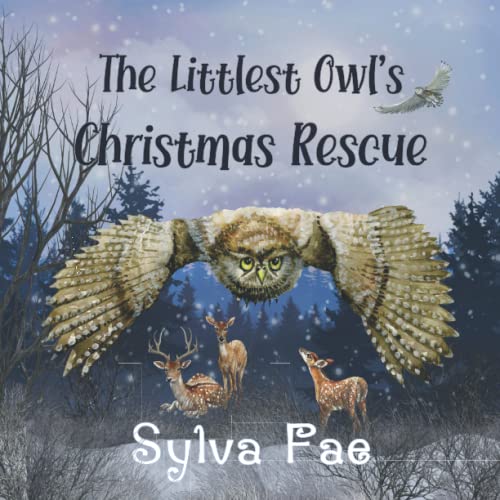 Stock image for The Littlest Owl's Christmas Rescue for sale by PBShop.store US