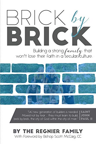 9781989230183: Brick by Brick: Building a Strong Famly That Won't Lose Their Faith in a Secular Culture.